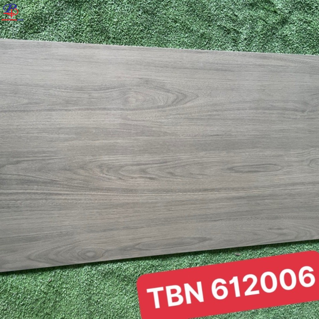 G60120-TBN61206DC