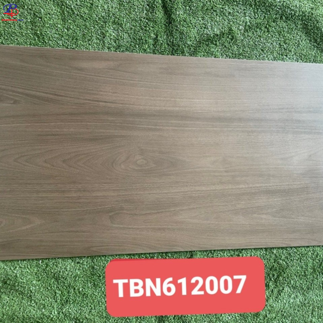 G60120-TBN61207DC