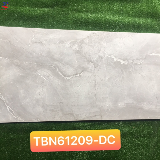 G60120-TBN61209DC