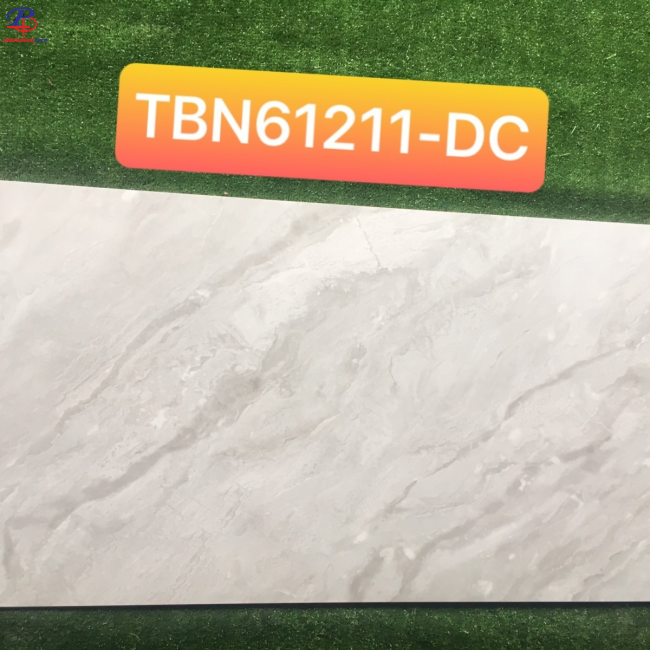 G60120-TBN61211DC