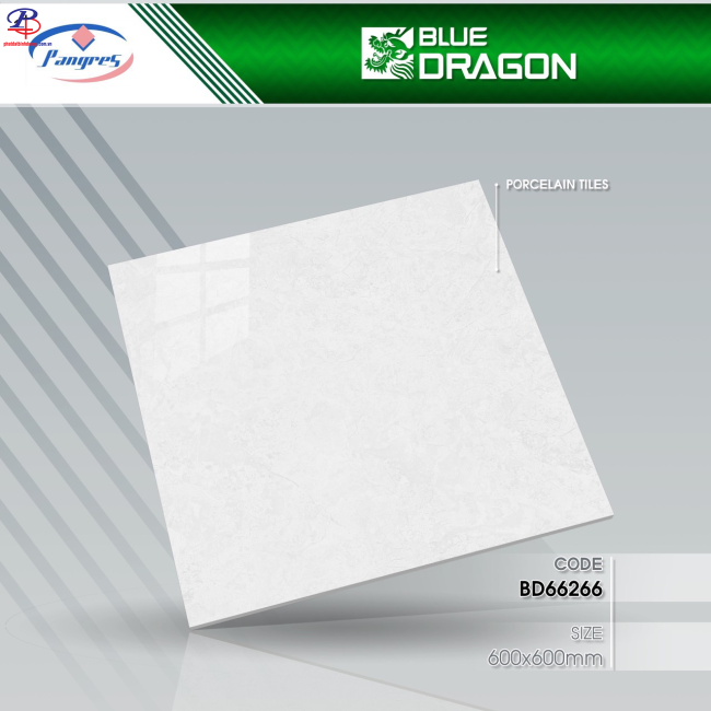 G6060-BD66266