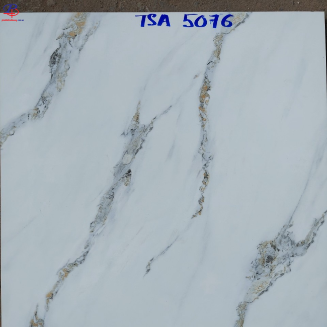G6060-TSA5076