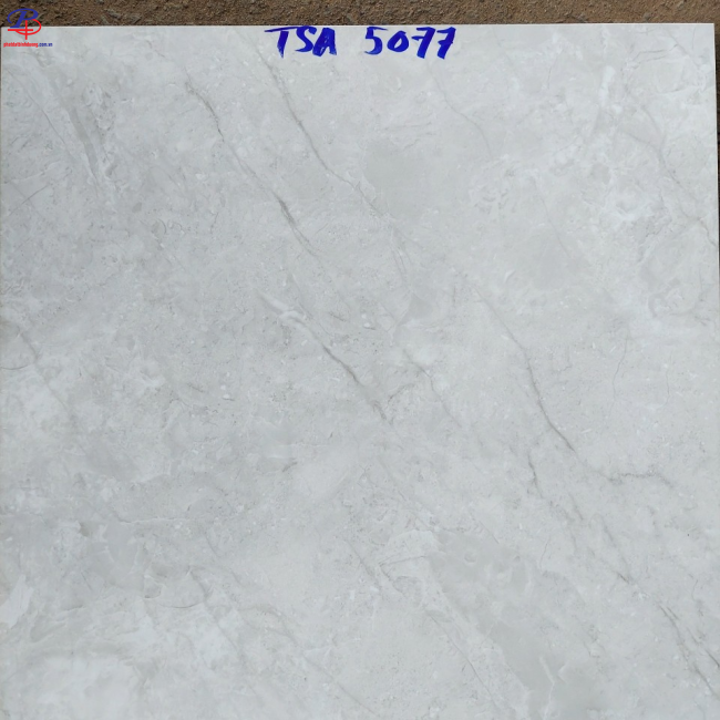 G6060-TSA5077