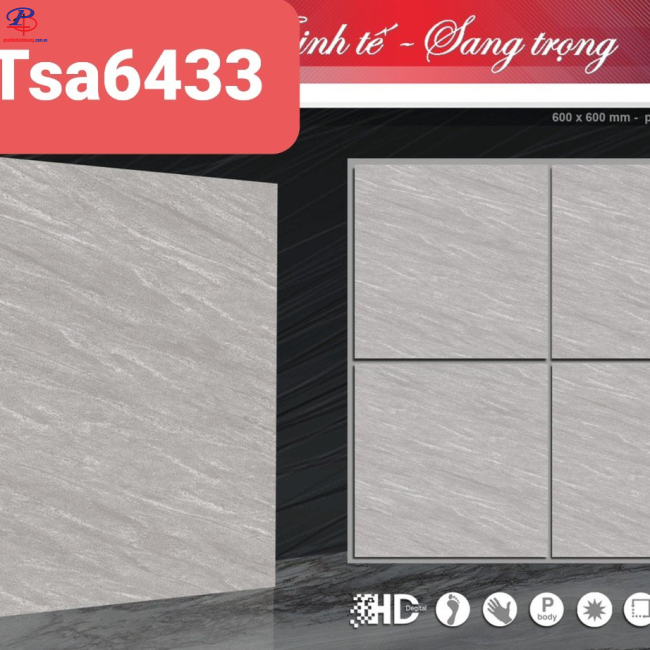 G6060-TSA6433