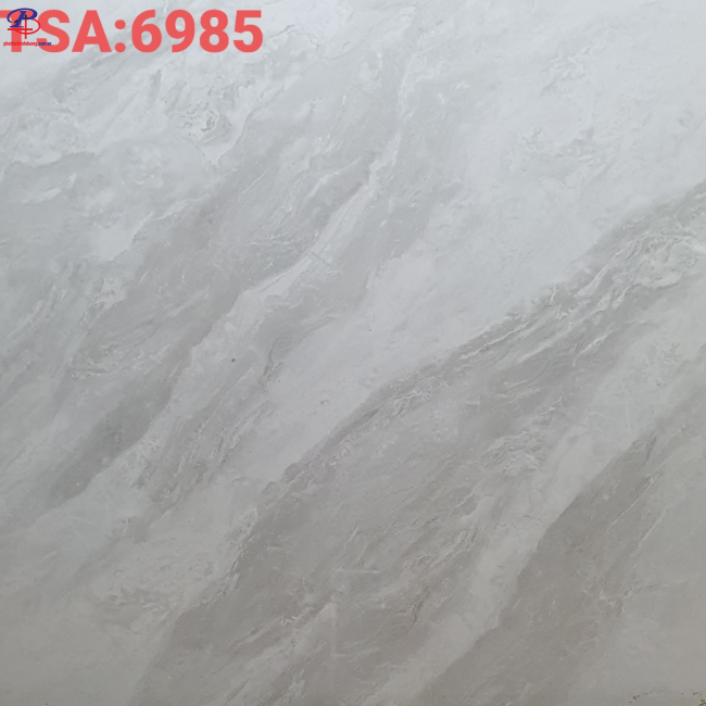 G6060-TSA6985