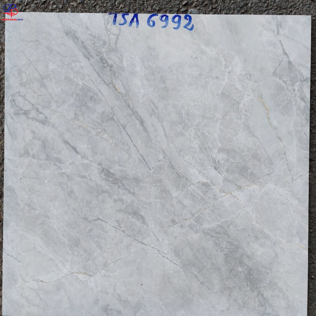 G6060-TSA6992