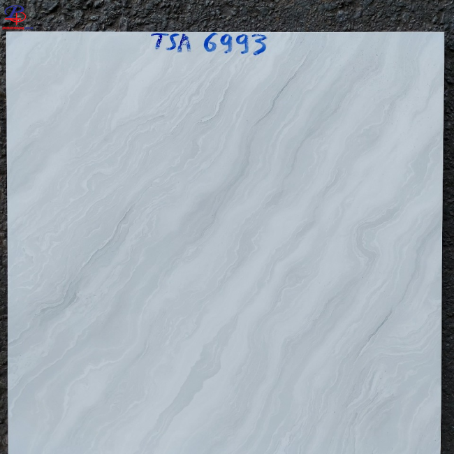 G6060-TSA6993