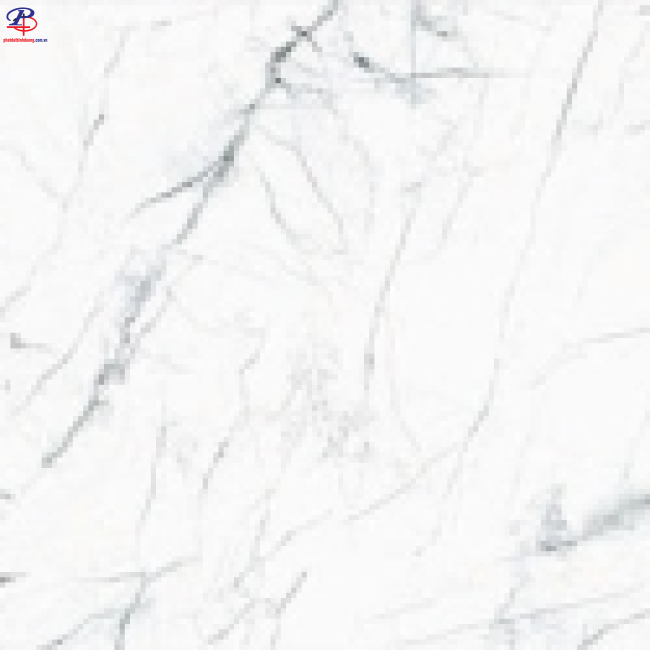G3060-G63905