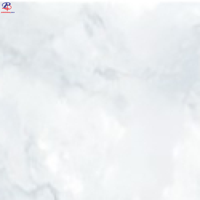 G3060-G63955