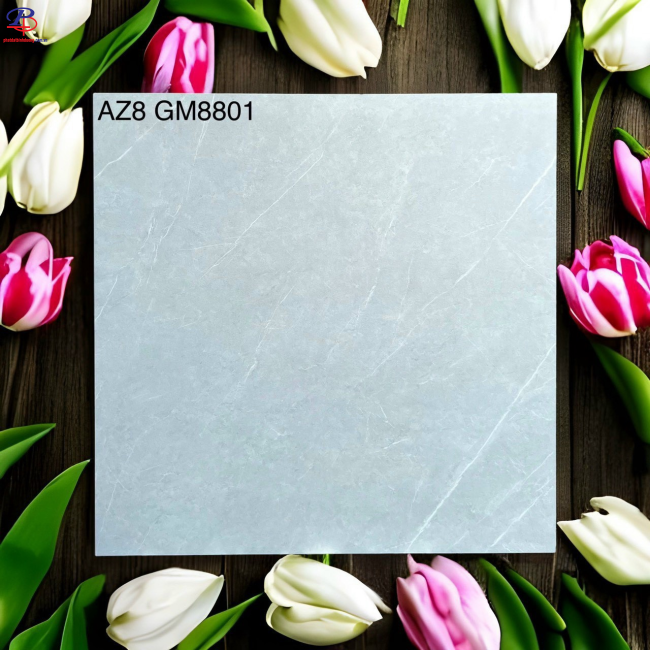 G8080-AZ8-GM8801