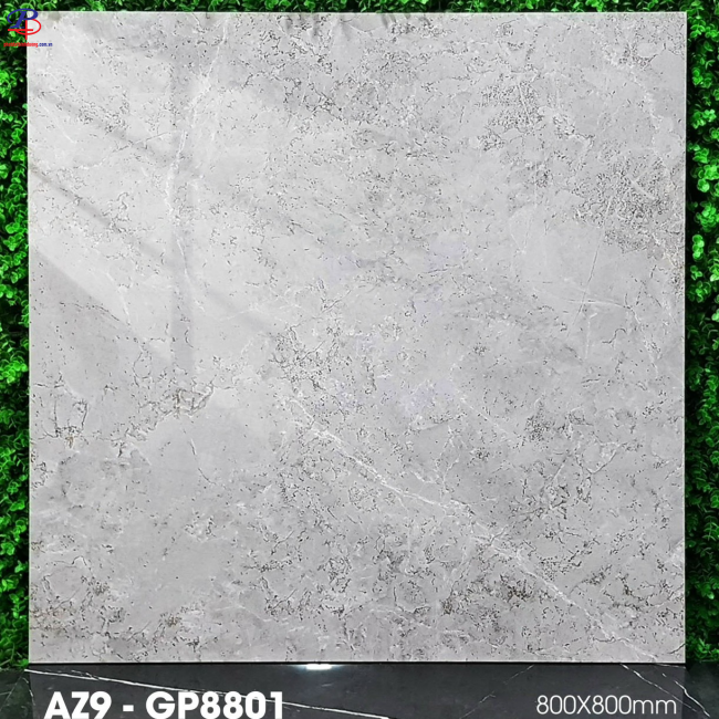 G8080-AZ9-GP8801