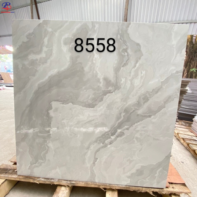 G8080-BD8558