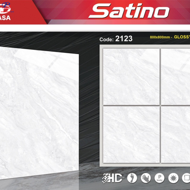 G8080-STN2123