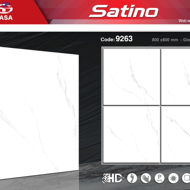 G8080-STN9263