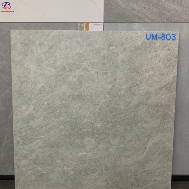 G8080-UM803