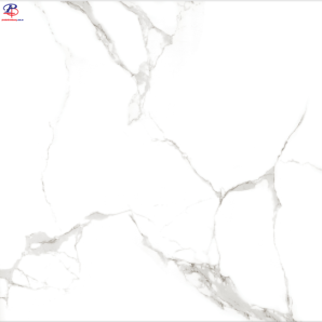G4040-HA4403