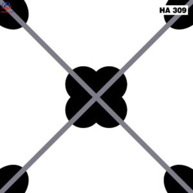 G3030-HA309