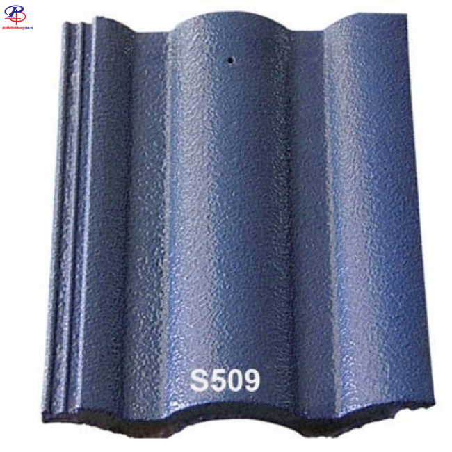 S509