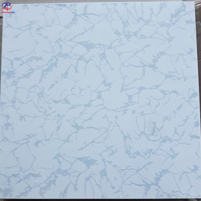 G4040-CBA41491
