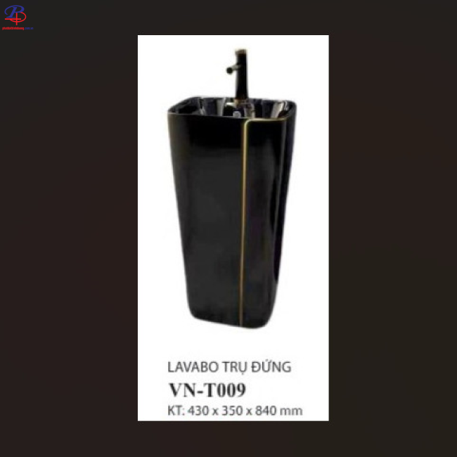Tiểu Nam VN-T009