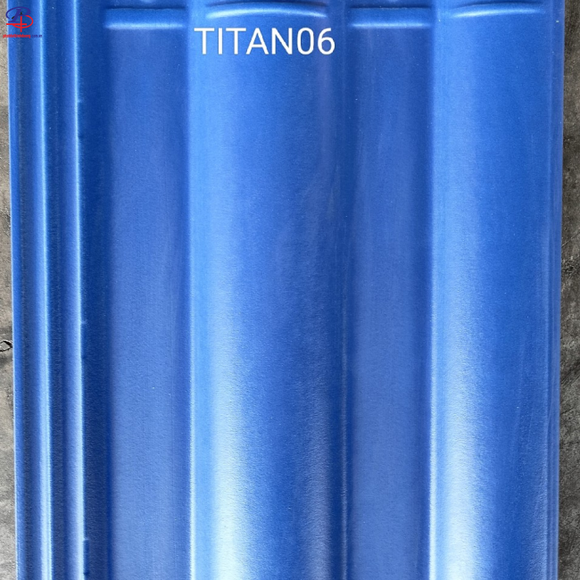 TiTan06