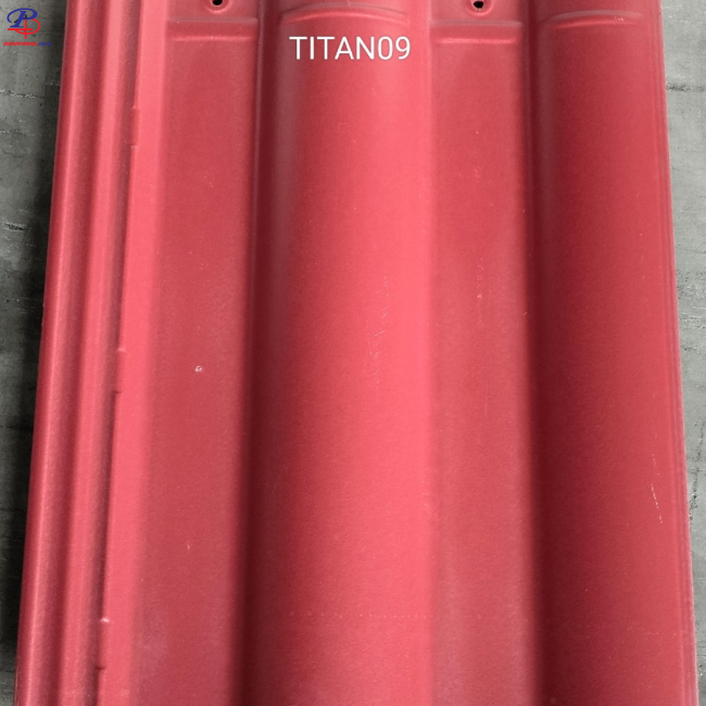 TiTan09