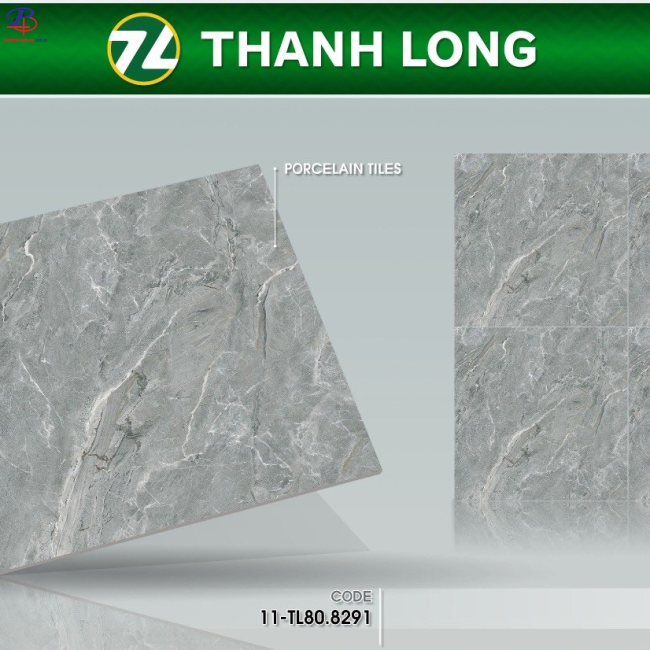 G8080-TL8291