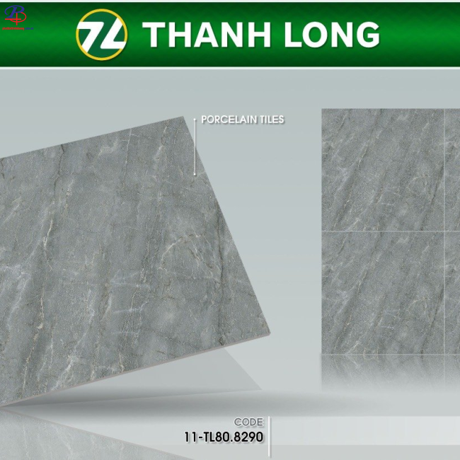 G8080-TL8290